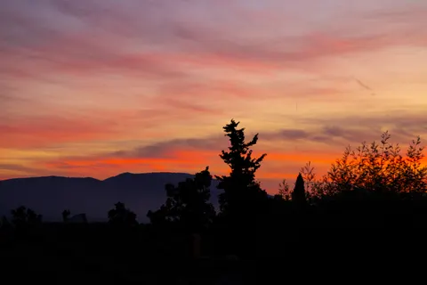 Savanna Sunset 4K Wallpaper · nature · 3840×2560