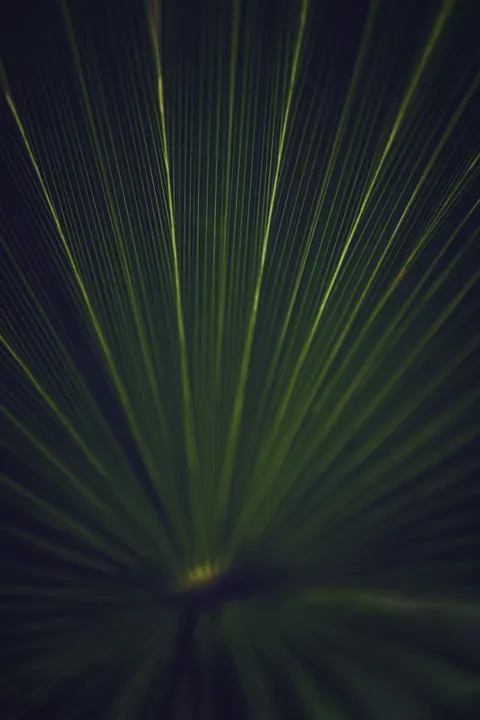 Laser Beams Phone Wallpaper · cyber · 1440×2160