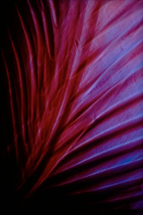 Neon Purple Phone Wallpaper · cyber · 1440×2160