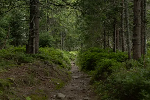 Mountain Trail 4K Wallpaper · mountains · 3840×2560