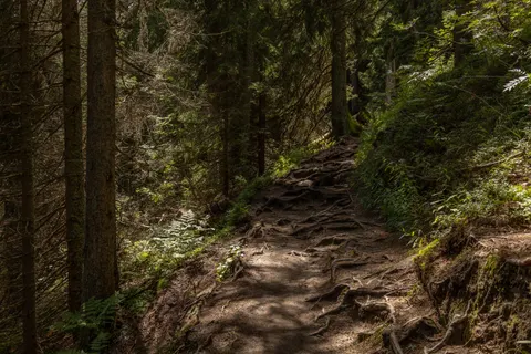Mountain Trail 4K Wallpaper · mountains · 3840×2560