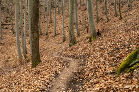 Mountain Trail 4K Wallpaper · mountains · 3840×2560