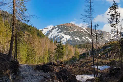Mountain Trail 4K Wallpaper · mountains · 3840×2560