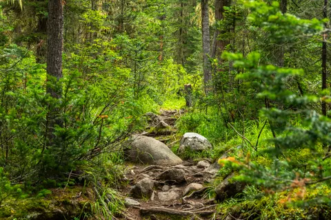 Mountain Trail 4K Wallpaper · mountains · 3840×2560