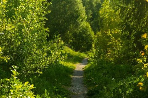 Mountain Trail 4K Wallpaper · mountains · 3840×2560