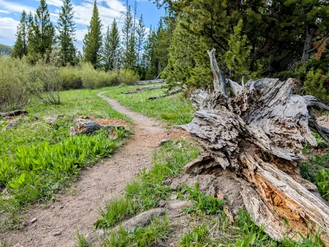 Mountain Trail 4K Wallpaper · mountains · 3840×2891
