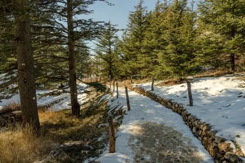 Mountain Trail 4K Wallpaper · mountains · 3840×2560