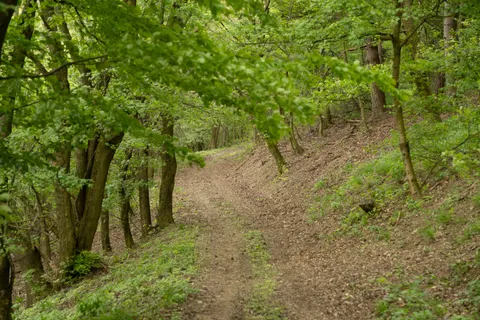 Mountain Trail 4K Wallpaper · mountains · 3840×2560