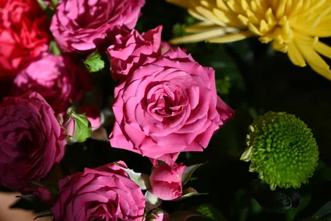 バラ 4K壁紙 · flowers · 3840×2560
