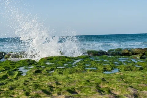 Rocky Shore 4K Wallpaper · ocean · 3840×2560