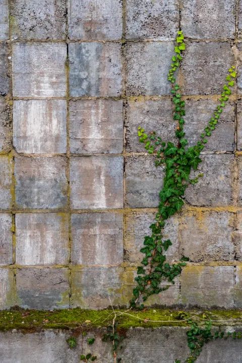 Stone Wall Phone Wallpaper · marble · 1440×2160