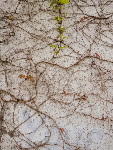 Stone Wall Phone Wallpaper · marble · 1440×1920
