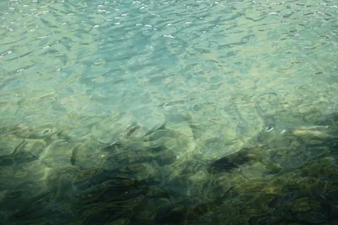 Clear Lagoon 4K Wallpaper · ocean · 3840×2560