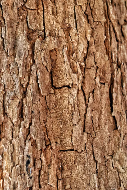 Wood Grain Phone Wallpaper · marble · 1440×2160