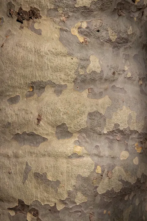 Wood Grain Phone Wallpaper · marble · 1440×2160