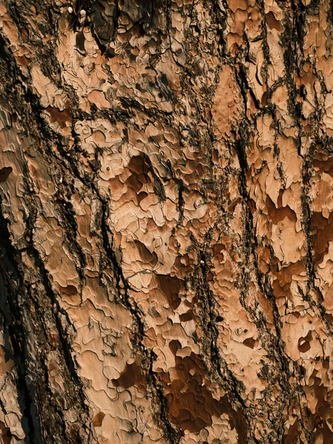 Wood Grain Phone Wallpaper · marble · 1440×1920