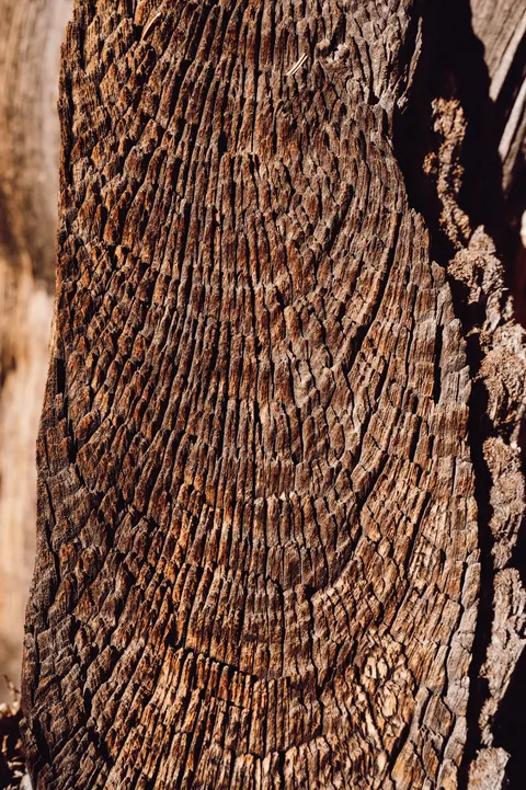 Wood Grain Phone Wallpaper · marble · 1440×2164