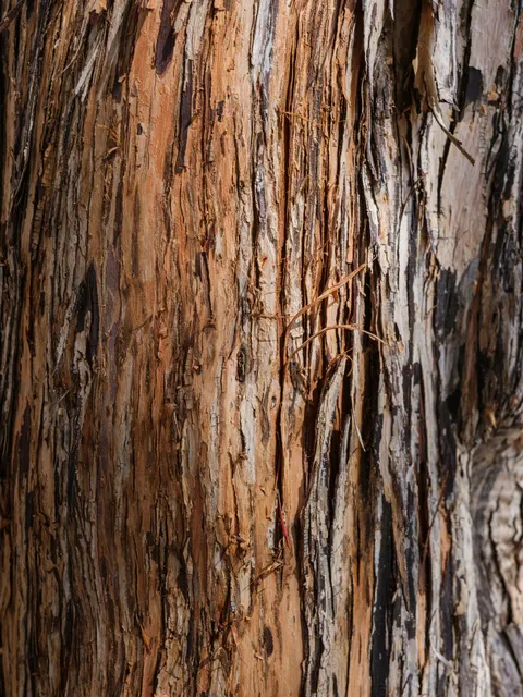 Wood Grain Phone Wallpaper · marble · 1440×1920