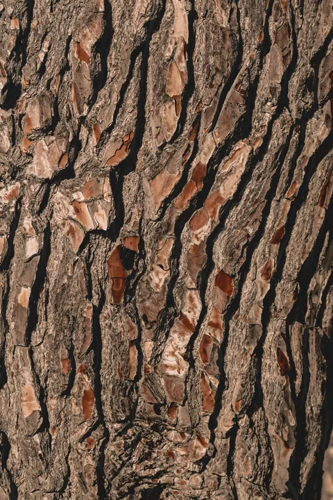 Wood Grain Phone Wallpaper · marble · 1440×2160