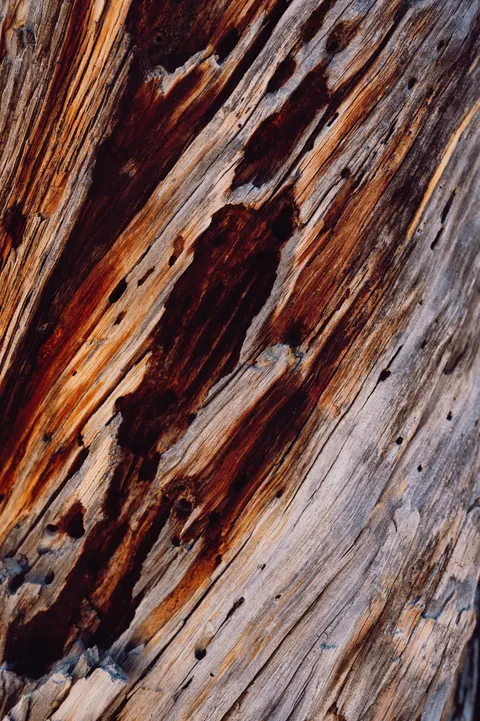 Wood Grain Phone Wallpaper · marble · 1440×2164