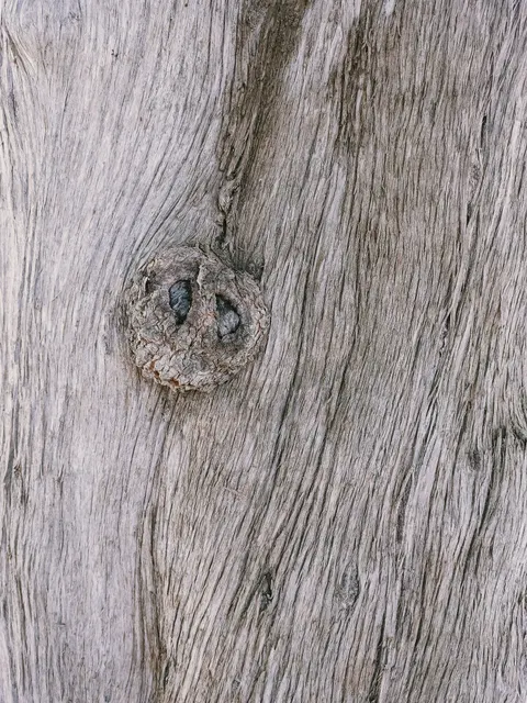 Wood Grain Phone Wallpaper · marble · 1440×1920