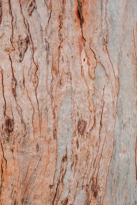 Wood Grain Phone Wallpaper · marble · 1440×2160