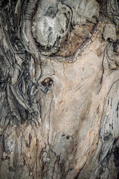 Wood Grain Phone Wallpaper · marble · 1440×2160
