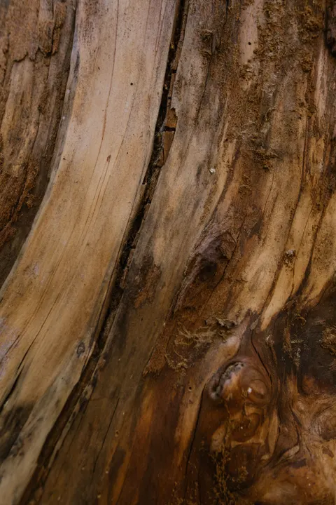 Wood Grain Phone Wallpaper · marble · 1440×2160