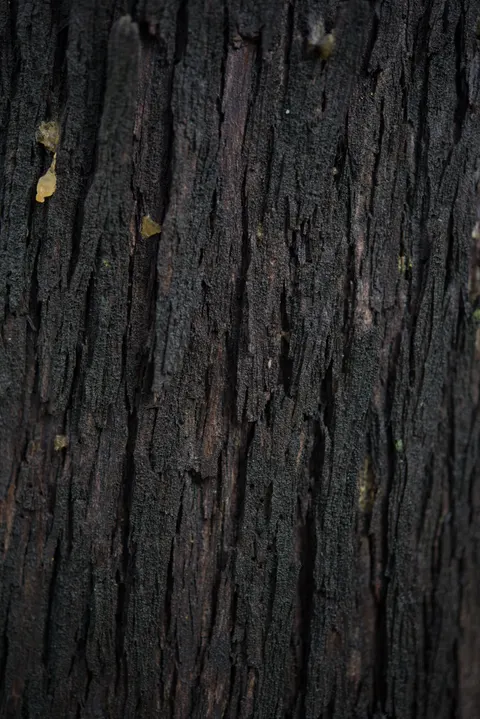Wood Grain Phone Wallpaper · marble · 1440×2157