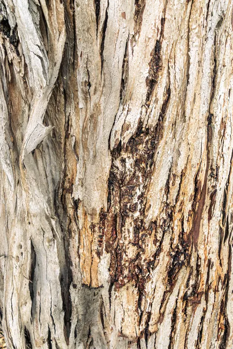 Wood Grain Phone Wallpaper · marble · 1440×2160