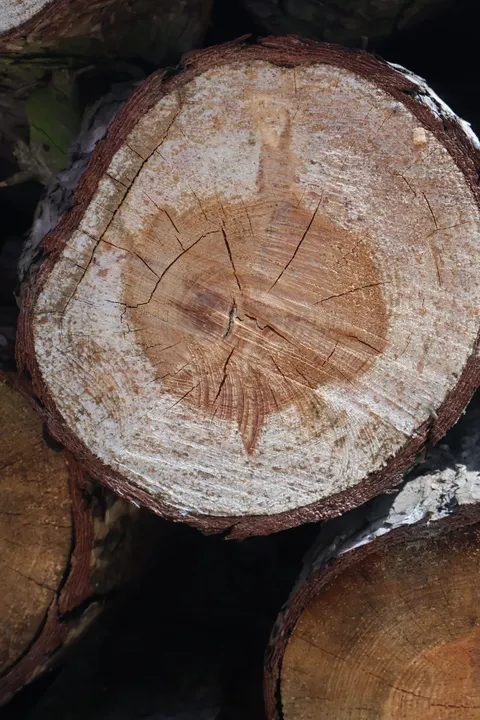 Wood Grain Phone Wallpaper · marble · 1440×2160