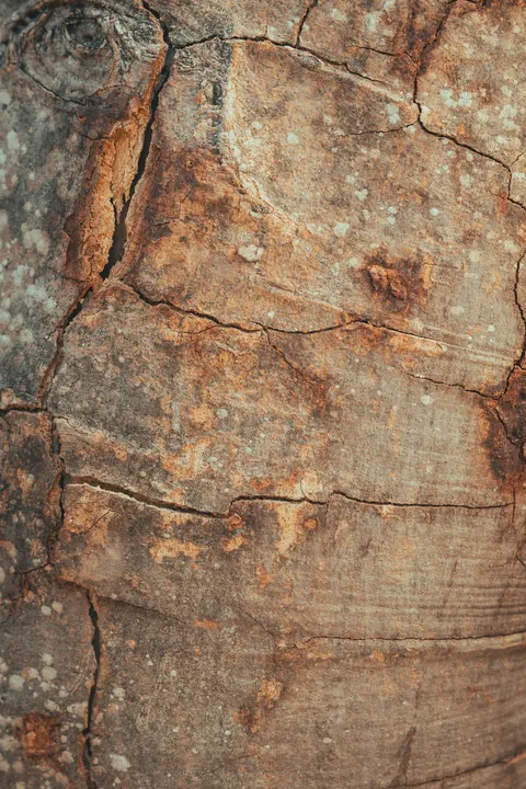 Wood Grain Phone Wallpaper · marble · 1440×2160