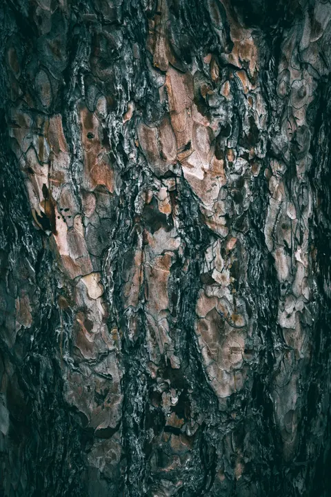 Wood Grain Phone Wallpaper · marble · 1440×2160