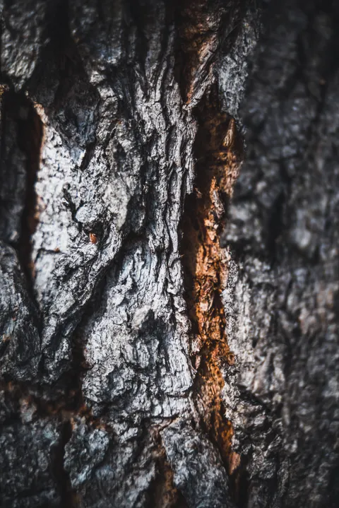 Wood Grain Phone Wallpaper · marble · 1440×2157