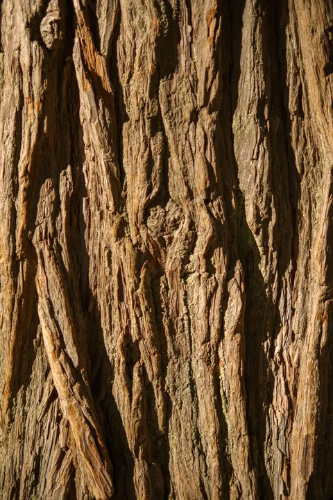 Holzmaserung Handy-Hintergrundbild · marble · 1440×2160