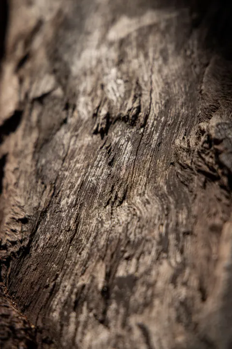 Wood Grain Phone Wallpaper · marble · 1440×2160