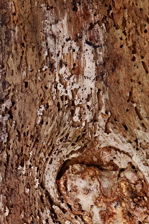 Wood Grain Phone Wallpaper · marble · 1440×2160