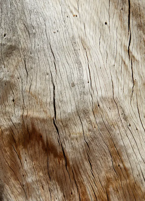 Wood Grain Phone Wallpaper · marble · 1440×1995