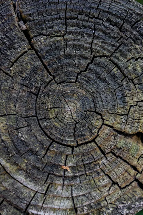 Wood Grain Phone Wallpaper · marble · 1440×2160