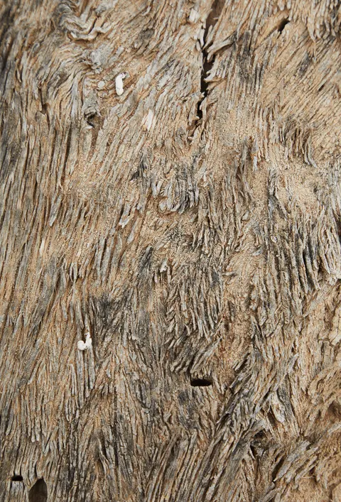 Wood Grain Phone Wallpaper · marble · 1440×2121
