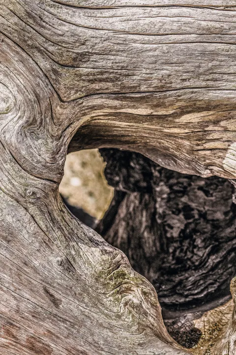 Wood Grain Phone Wallpaper · marble · 1440×2160
