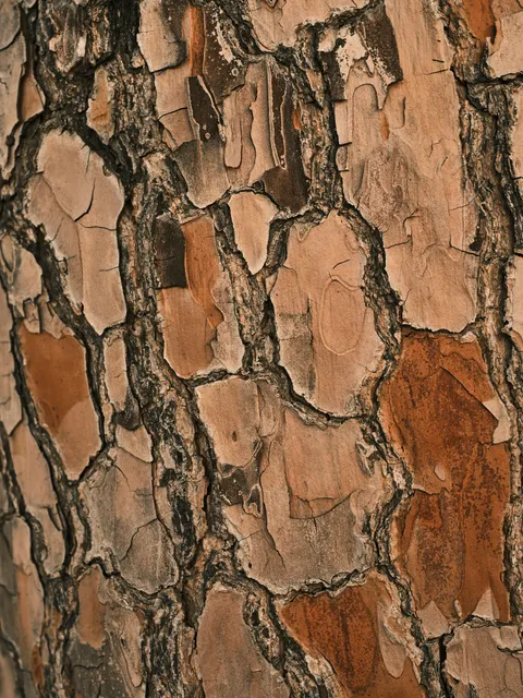 Wood Grain Phone Wallpaper · marble · 1440×1920