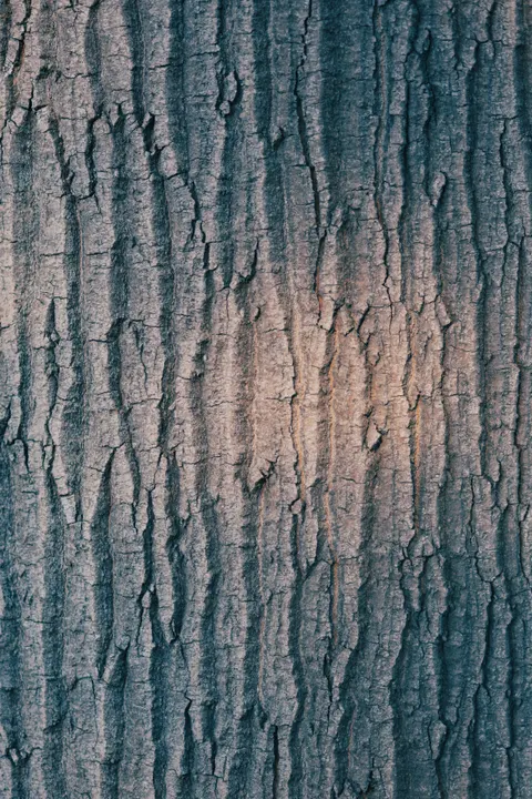 Wood Grain Phone Wallpaper · marble · 1440×2160