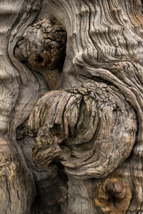 Wood Grain Phone Wallpaper · marble · 1440×2160