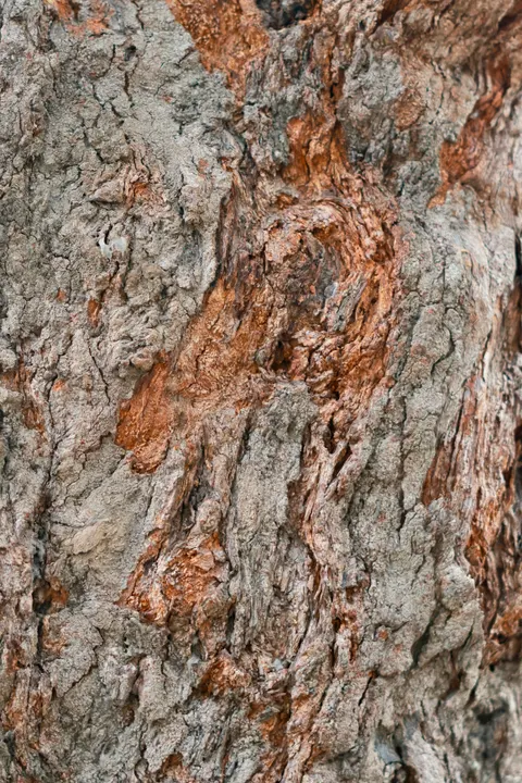 Wood Grain Phone Wallpaper · marble · 1440×2160
