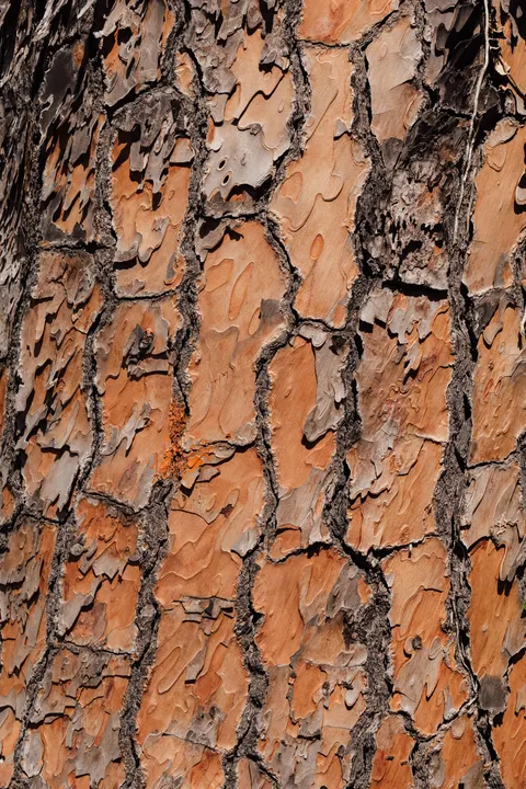 Wood Grain Phone Wallpaper · marble · 1440×2160