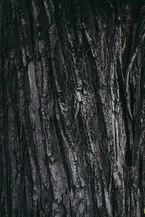 Wood Grain Phone Wallpaper · marble · 1440×2160