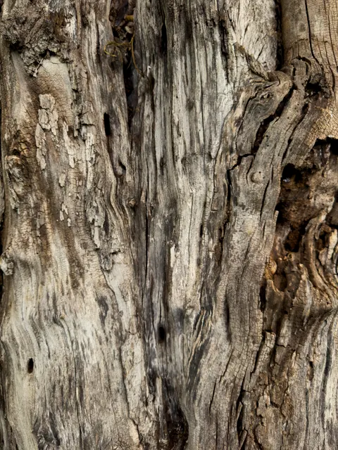 Wood Grain Phone Wallpaper · marble · 1440×1920