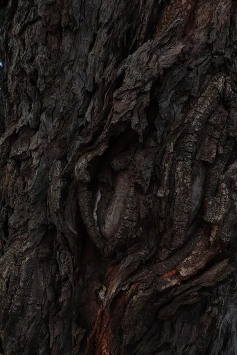 Wood Grain Phone Wallpaper · marble · 1440×2160