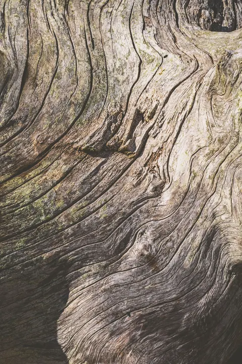 Wood Grain Phone Wallpaper · marble · 1440×2160